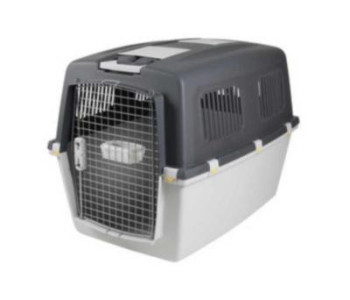 CAGE TRANSPORT PVC