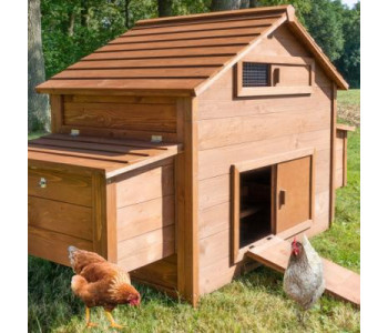 POULAILLER 5 A 8 POULES