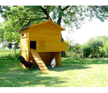 POULAILLER 9 A 12 POULES